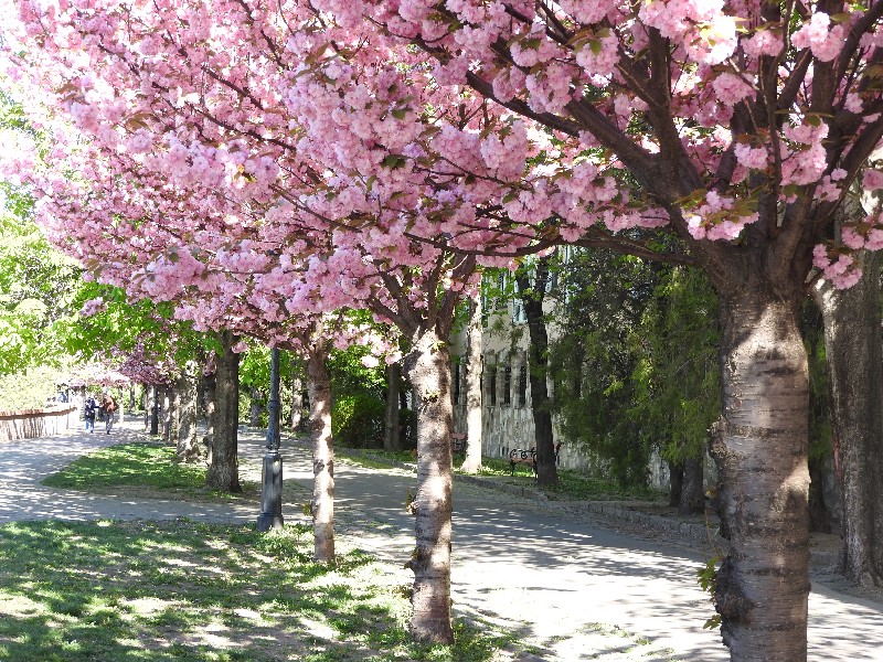33 Fisherman s Bastion
